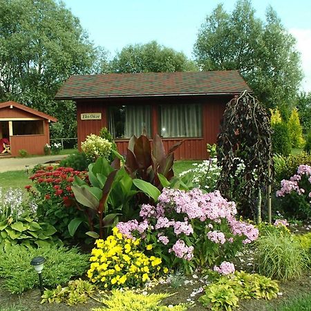 Eko Oaze Villa Pērkone Dış mekan fotoğraf