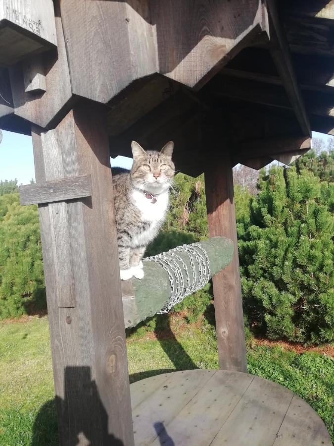 Eko Oaze Villa Pērkone Dış mekan fotoğraf