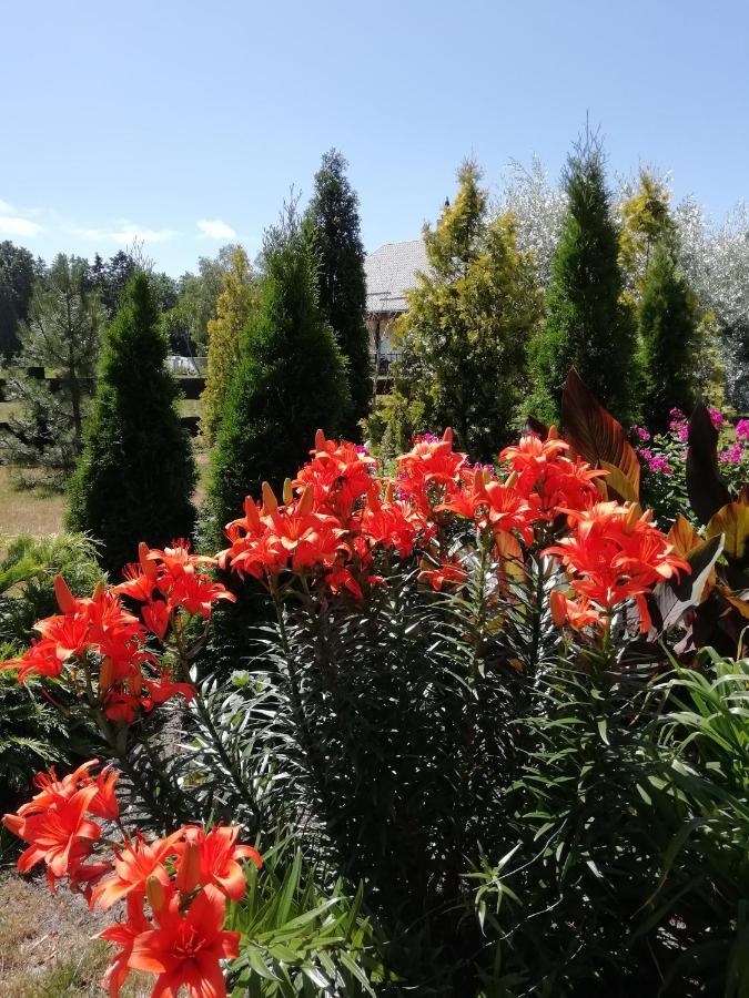 Eko Oaze Villa Pērkone Dış mekan fotoğraf
