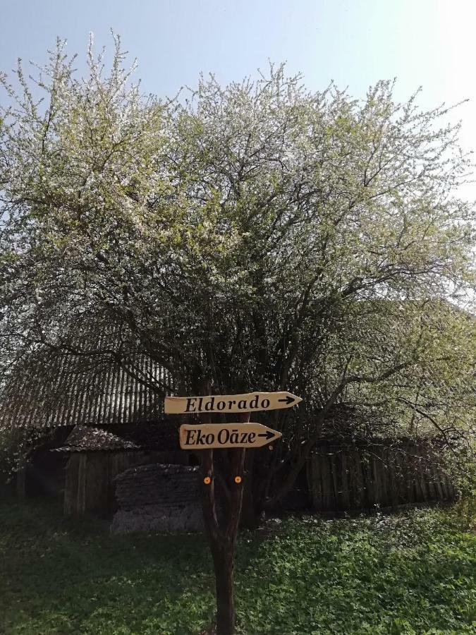 Eko Oaze Villa Pērkone Dış mekan fotoğraf